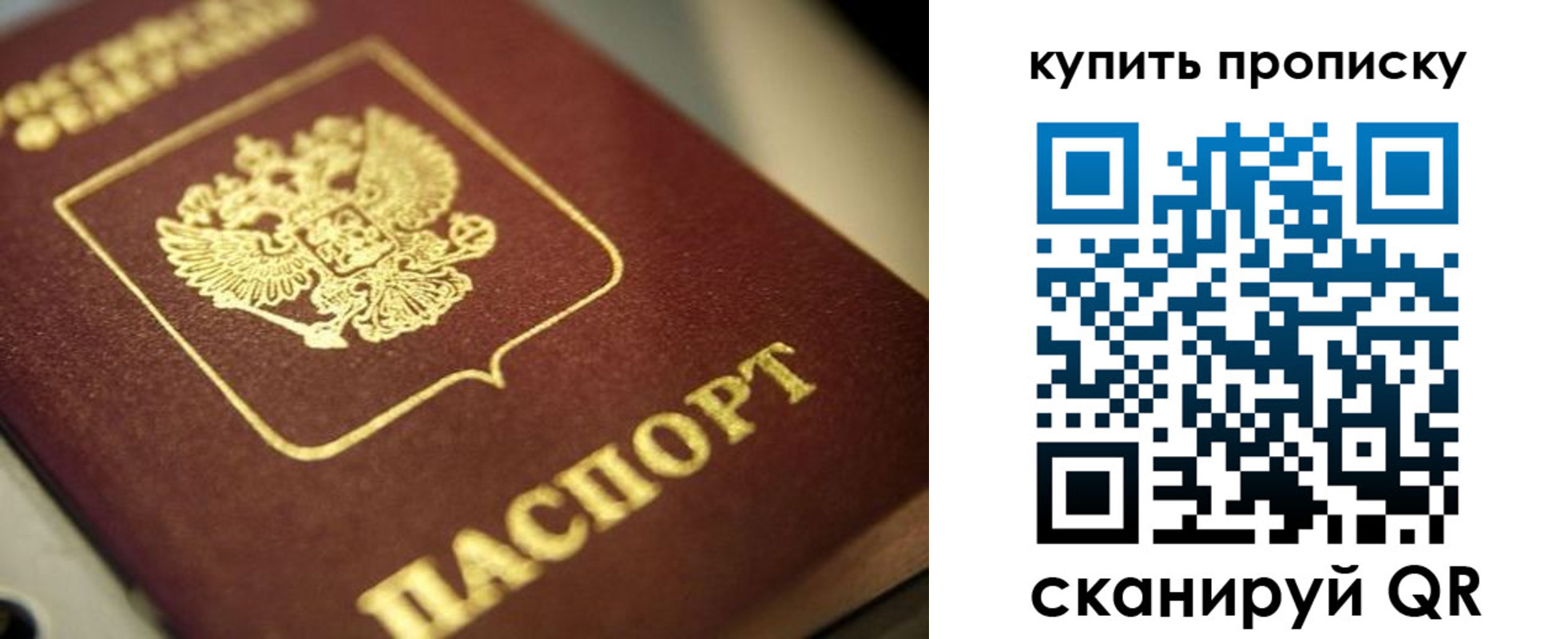 прописка поиск в Канске